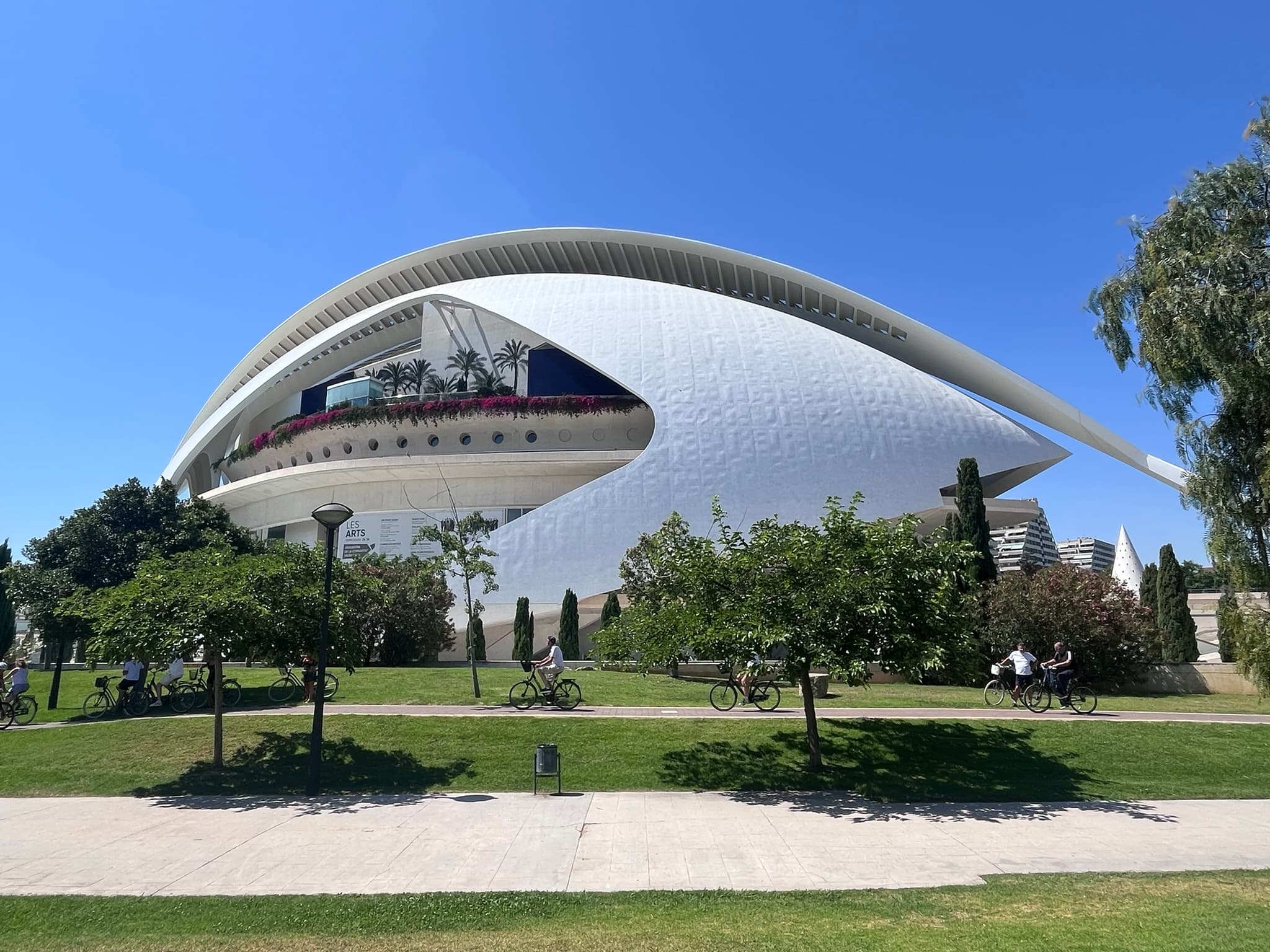 The white curved roof of the Palau de les Arts beside the gardens in Valencia